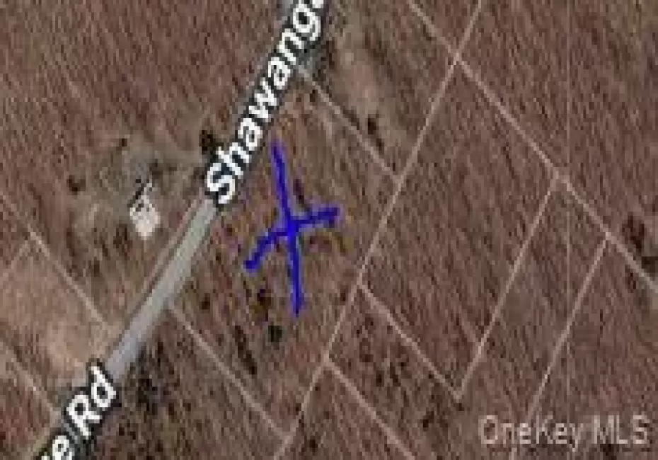 Shawanga Lodge Road, Mamakating, NY, ,Land,For Rent,Shawanga Lodge,0,1000955 Shawanga Lodge Road, Mamakating, NY, ,Land,For Rent,Shawanga Lodge,0,1000955