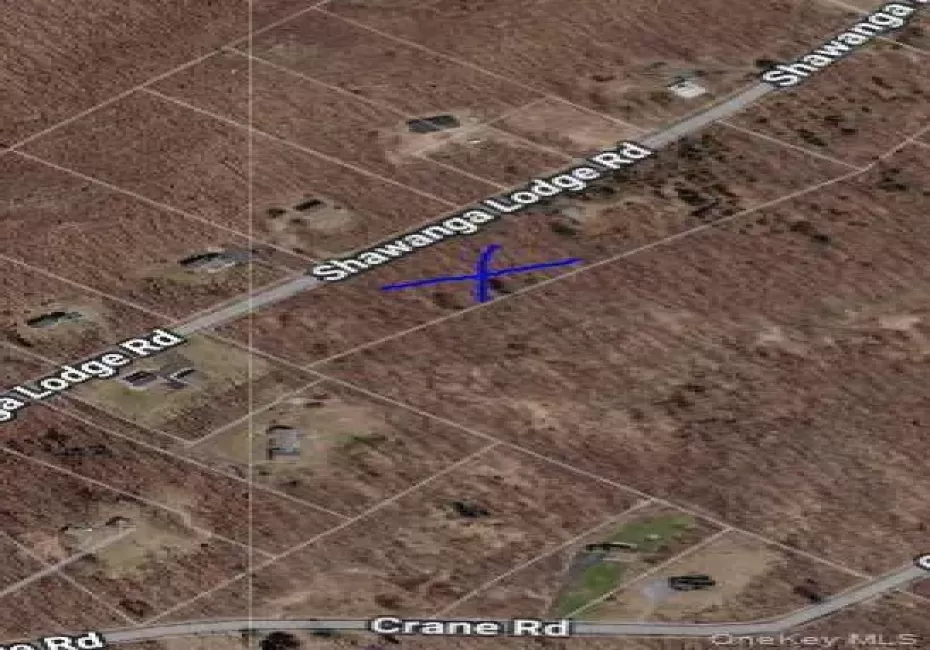 237 Shawanga Lodge Road, Mamakating, NY, ,Land,For Rent,Shawanga Lodge,0,964300 237 Shawanga Lodge Road, Mamakating, NY, ,Land,For Rent,Shawanga Lodge,0,964300
