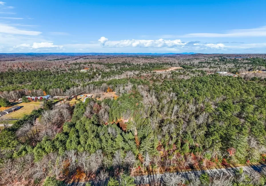 Bird's eye view with a wooded view Bird's eye view with a wooded view