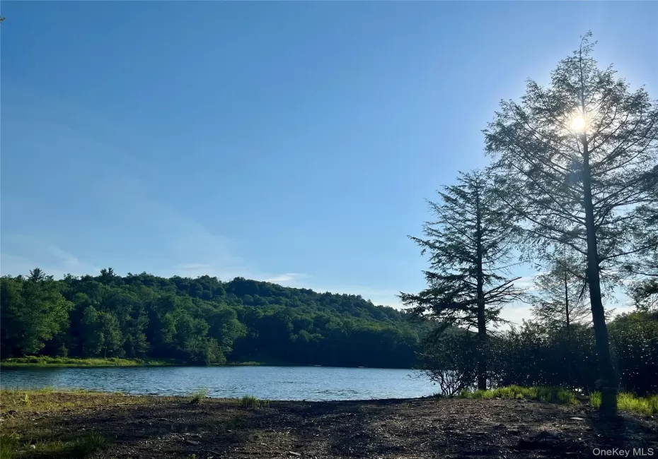 47 Eagles Ridge Way, Liberty, NY, ,Land,For Rent,Eagles Ridge,0,1015771 47 Eagles Ridge Way, Liberty, NY, ,Land,For Rent,Eagles Ridge,0,1015771