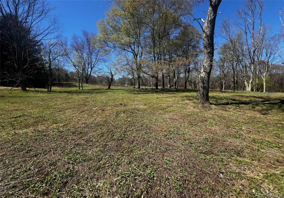 93 Cal Stewart Road, Bethel, NY, ,Land,For Rent,Cal Stewart,0,991521 93 Cal Stewart Road, Bethel, NY, ,Land,For Rent,Cal Stewart,0,991521