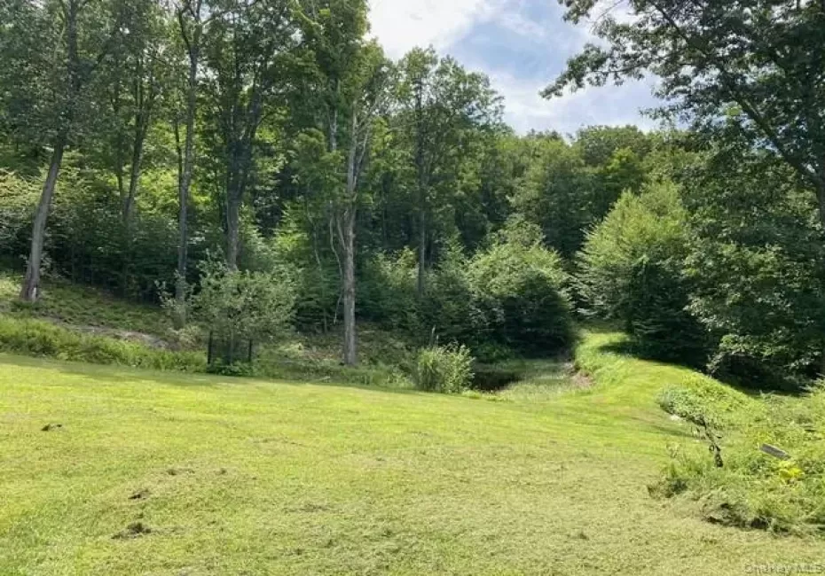 Mile High Road, Taghkanic, NY, ,Land,For Rent,Mile High,0,1016157 Mile High Road, Taghkanic, NY, ,Land,For Rent,Mile High,0,1016157