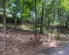 0 Springwood Avenue, Greenburgh, NY, ,Land,For Rent,Springwood,0,912813 0 Springwood Avenue, Greenburgh, NY, ,Land,For Rent,Springwood,0,912813
