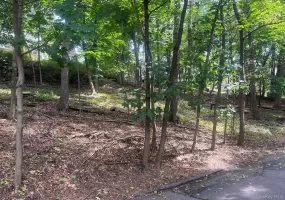 0 Springwood Avenue, Greenburgh, NY, ,Land,For Rent,Springwood,0,912813 0 Springwood Avenue, Greenburgh, NY, ,Land,For Rent,Springwood,0,912813