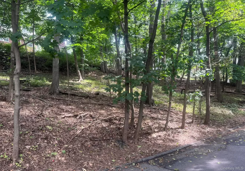 0 Springwood Avenue, Greenburgh, NY, ,Land,For Rent,Springwood,0,912813 0 Springwood Avenue, Greenburgh, NY, ,Land,For Rent,Springwood,0,912813