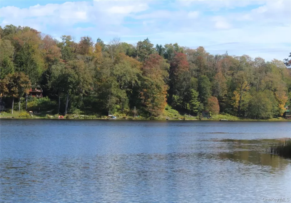 Trout Brook Road, Fremont, NY, ,Land,For Rent,Trout Brook,0,983521 Trout Brook Road, Fremont, NY, ,Land,For Rent,Trout Brook,0,983521