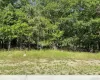 Granny Road, Brookhaven, NY, ,Land,For Rent,Granny,0,1016487 Granny Road, Brookhaven, NY, ,Land,For Rent,Granny,0,1016487