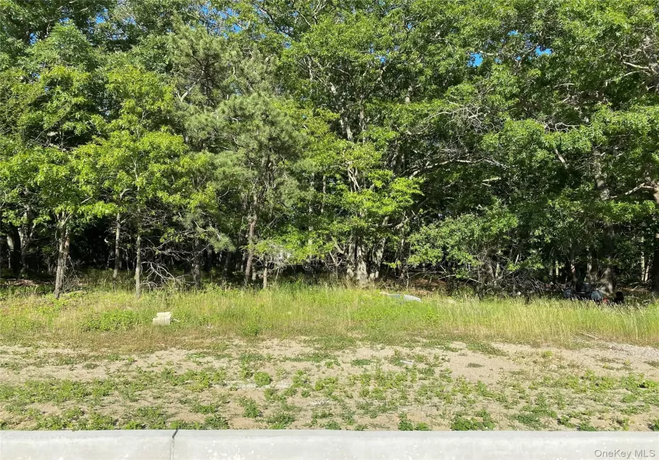 Granny Road, Brookhaven, NY, ,Land,For Rent,Granny,0,1016487 Granny Road, Brookhaven, NY, ,Land,For Rent,Granny,0,1016487