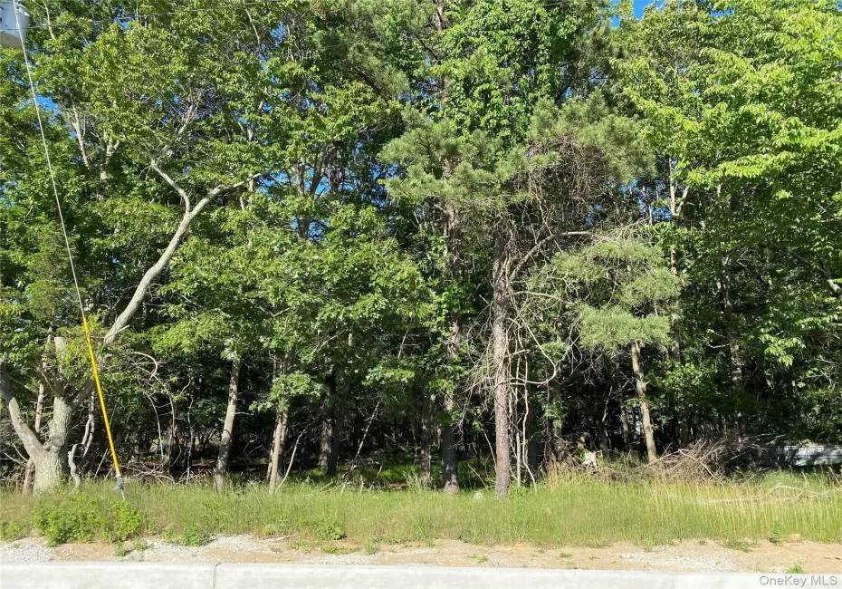 Pleasant Avenue, Brookhaven, NY, ,Land,For Rent,Pleasant,0,1016486 Pleasant Avenue, Brookhaven, NY, ,Land,For Rent,Pleasant,0,1016486