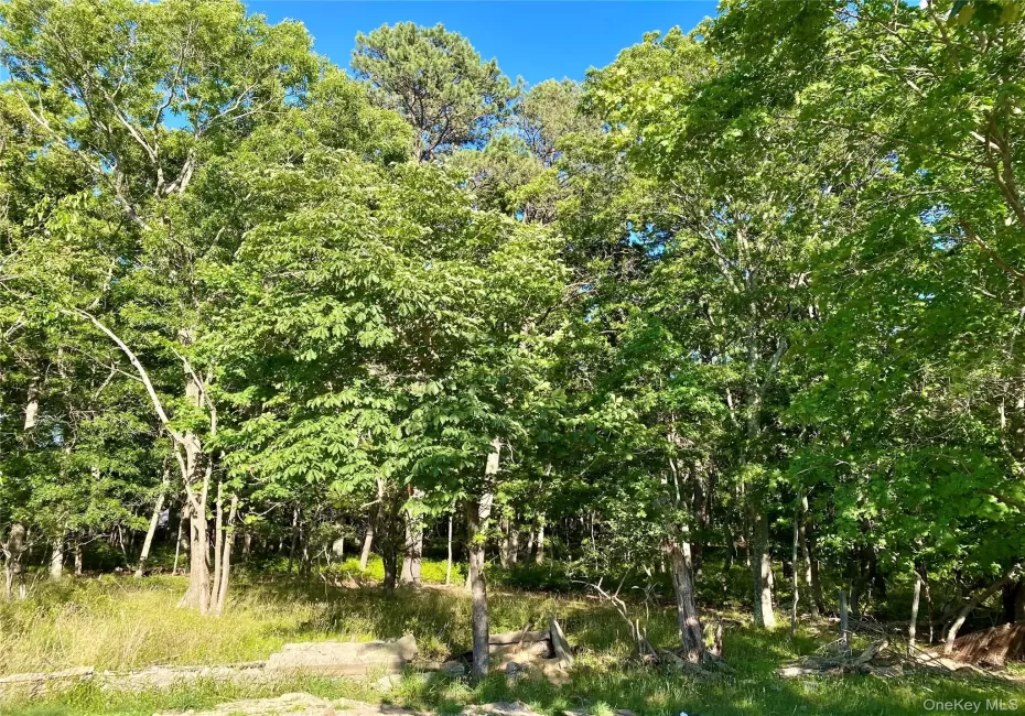 Granny Road, Brookhaven, NY, ,Land,For Rent,Granny,0,1016489 Granny Road, Brookhaven, NY, ,Land,For Rent,Granny,0,1016489