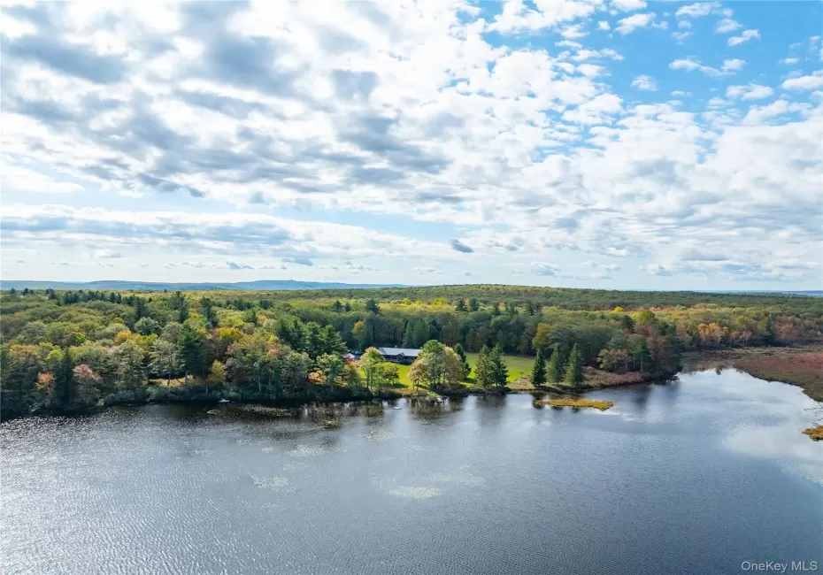 Bird's eye view of a forest and a nearby body of water Bird's eye view of a forest and a nearby body of water
