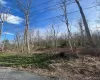 0 Laurel Trail, Mamakating, NY, ,Land,For Rent,Laurel,0,977647 0 Laurel Trail, Mamakating, NY, ,Land,For Rent,Laurel,0,977647