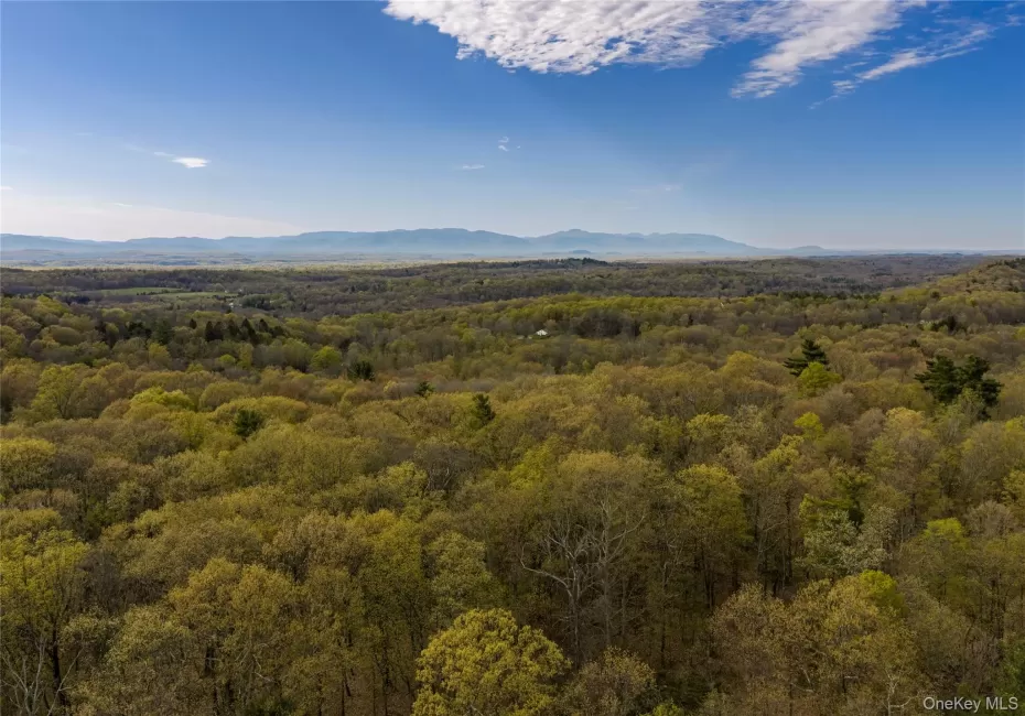 Schultz Hill Road, Clinton, NY, ,Land,For Rent,Schultz Hill,0,993151 Schultz Hill Road, Clinton, NY, ,Land,For Rent,Schultz Hill,0,993151