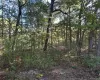 Meade Avenue, Brookhaven, NY, ,Land,For Rent,Meade,0,1016722 Meade Avenue, Brookhaven, NY, ,Land,For Rent,Meade,0,1016722
