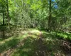 TBD Camp Kennybrook Road, Thompson, NY, ,Land,For Rent,Camp Kennybrook,0,1016537 TBD Camp Kennybrook Road, Thompson, NY, ,Land,For Rent,Camp Kennybrook,0,1016537