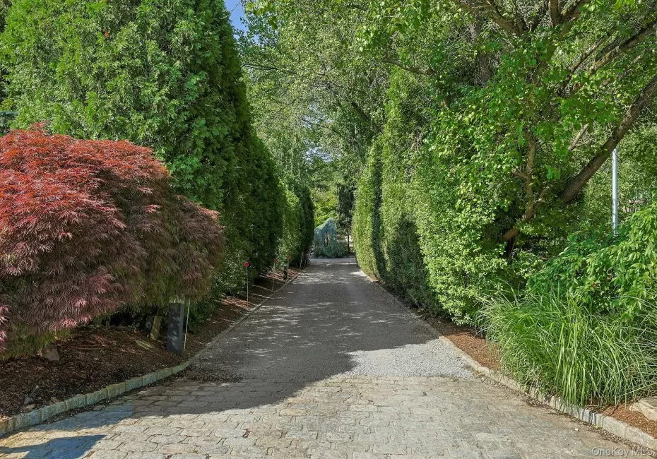 41 Murray Hill Road, Scarsdale, NY, 5 Bedrooms Bedrooms, 11 Rooms Rooms,6 BathroomsBathrooms,Residential,For Rent,Murray Hill,0,1016358 41 Murray Hill Road, Scarsdale, NY, 5 Bedrooms Bedrooms, 11 Rooms Rooms,6 BathroomsBathrooms,Residential,For Rent,Murray Hill,0,1016358