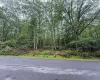 View of asphalt road featuring a wooded view View of asphalt road featuring a wooded view