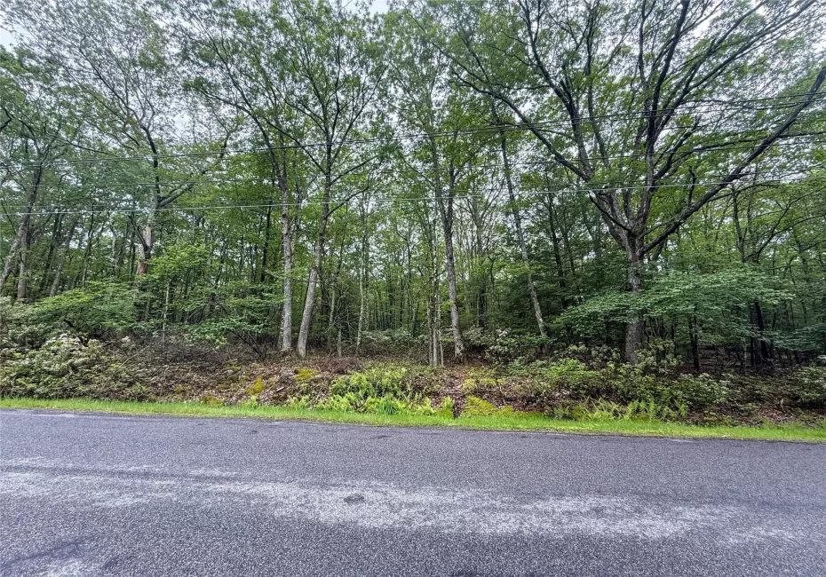 View of asphalt road featuring a wooded view View of asphalt road featuring a wooded view
