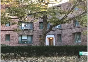 2059 Saint Raymond Avenue, New York, NY, 1 Bedroom Bedrooms, 3 Rooms Rooms,1 BathroomBathrooms,Residential,For Rent,Saint Raymond,0,994804 2059 Saint Raymond Avenue, New York, NY, 1 Bedroom Bedrooms, 3 Rooms Rooms,1 BathroomBathrooms,Residential,For Rent,Saint Raymond,0,994804