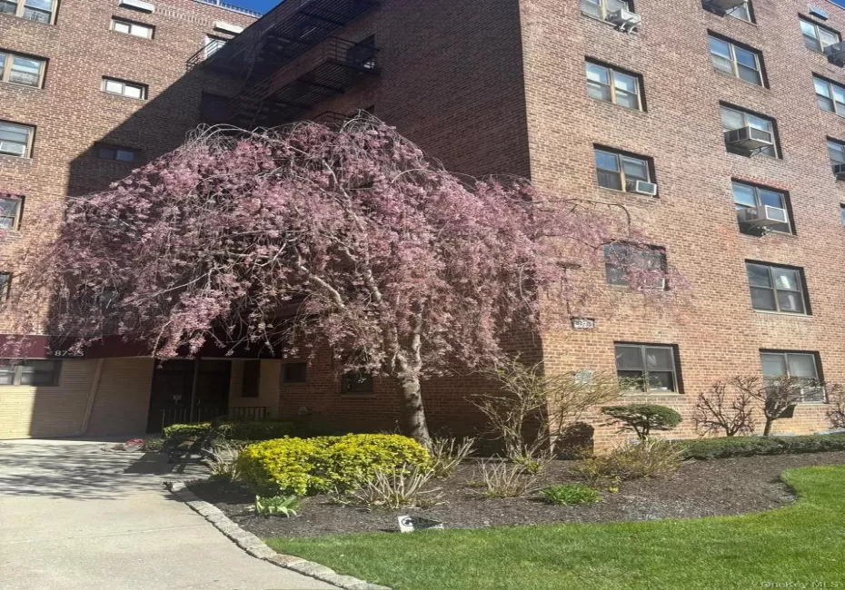 87-19 204th Street, New York, NY, 2 Bedrooms Bedrooms, 3 Rooms Rooms,1 BathroomBathrooms,Residential,For Rent,204th,0,KEY985040 87-19 204th Street, New York, NY, 2 Bedrooms Bedrooms, 3 Rooms Rooms,1 BathroomBathrooms,Residential,For Rent,204th,0,KEY985040