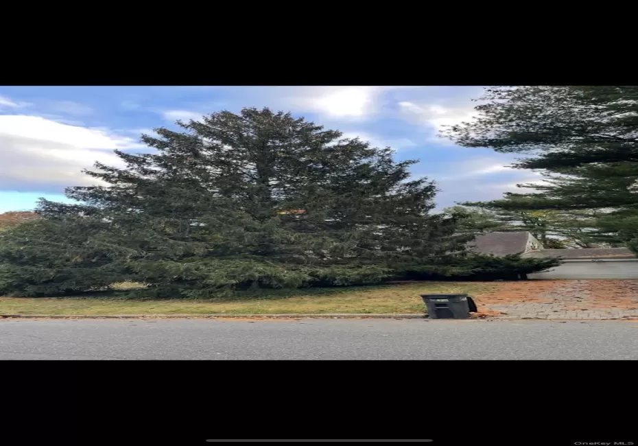View of asphalt street with curbs View of asphalt street with curbs