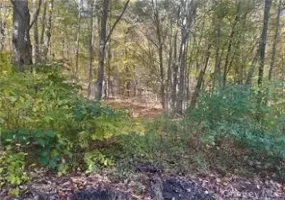 0 Budd Lane, North East, NY, ,Land,For Rent,Budd,0,1018006 0 Budd Lane, North East, NY, ,Land,For Rent,Budd,0,1018006