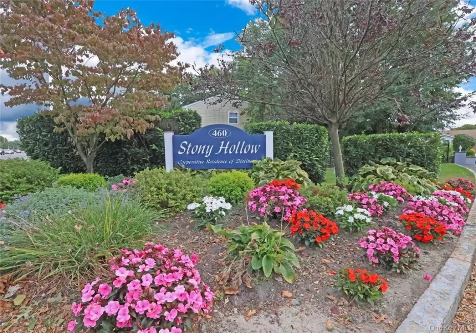 460 Old Town Road, Brookhaven, NY, 1 Bedroom Bedrooms, 4 Rooms Rooms,1 BathroomBathrooms,Residential,For Rent,Old Town Road,0,1017973 460 Old Town Road, Brookhaven, NY, 1 Bedroom Bedrooms, 4 Rooms Rooms,1 BathroomBathrooms,Residential,For Rent,Old Town Road,0,1017973