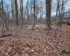 458 Pascack Road, Ramapo, NY, ,Land,For Rent,Pascack,0,967980 458 Pascack Road, Ramapo, NY, ,Land,For Rent,Pascack,0,967980