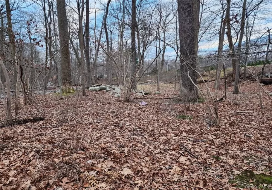 458 Pascack Road, Ramapo, NY, ,Land,For Rent,Pascack,0,967980 458 Pascack Road, Ramapo, NY, ,Land,For Rent,Pascack,0,967980