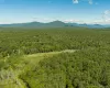 TBD Buck Road, Marbletown, NY, ,Land,For Rent,Buck,0,1018256 TBD Buck Road, Marbletown, NY, ,Land,For Rent,Buck,0,1018256