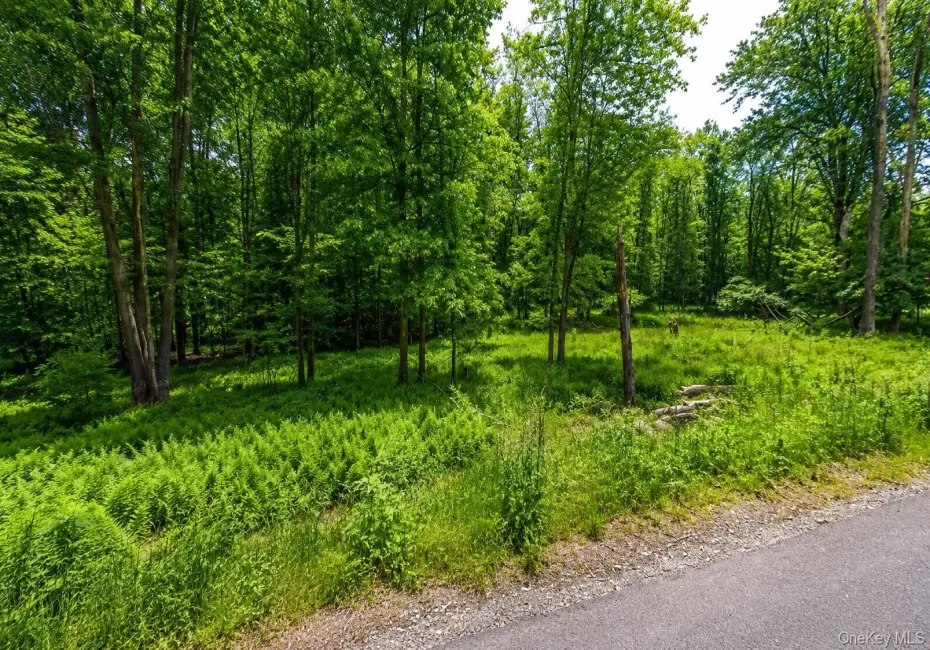 135 Rose Valley, Thompson, NY, ,Land,For Rent,Rose Valley,0,1017756 135 Rose Valley, Thompson, NY, ,Land,For Rent,Rose Valley,0,1017756
