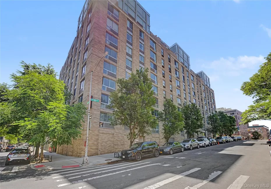 68 Bradhurst Avenue, New York, NY, 3 Bedrooms Bedrooms, 6 Rooms Rooms,2 BathroomsBathrooms,Residential,For Rent,Bradhurst,0,1018885 68 Bradhurst Avenue, New York, NY, 3 Bedrooms Bedrooms, 6 Rooms Rooms,2 BathroomsBathrooms,Residential,For Rent,Bradhurst,0,1018885