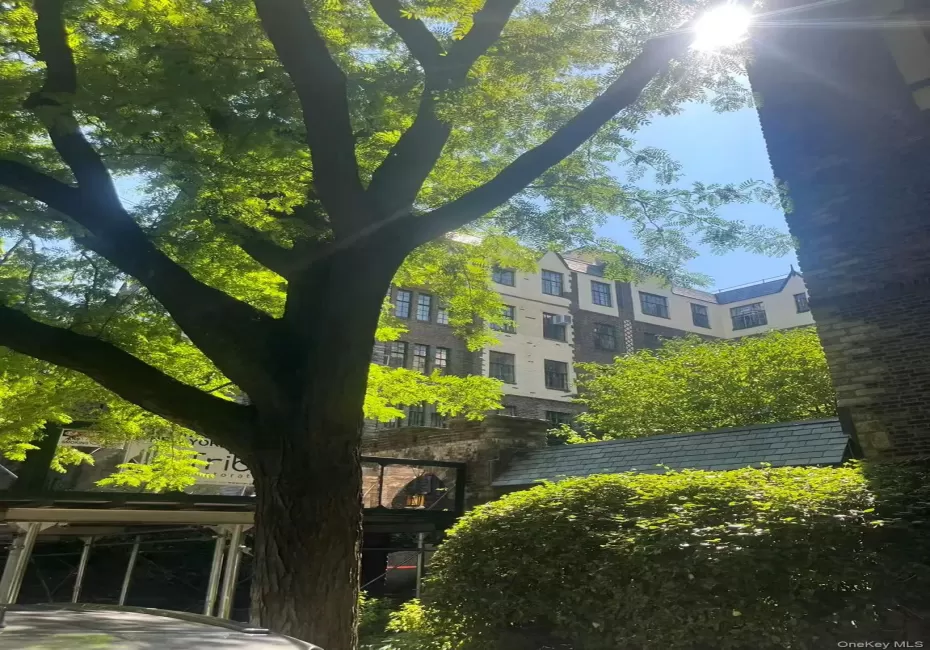 116 Pinehurst Avenue, New York, NY, 1 Bedroom Bedrooms, 7 Rooms Rooms,1 BathroomBathrooms,Residential,For Rent,Pinehurst,0,978454 116 Pinehurst Avenue, New York, NY, 1 Bedroom Bedrooms, 7 Rooms Rooms,1 BathroomBathrooms,Residential,For Rent,Pinehurst,0,978454