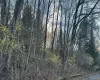 TBD Diane Boulevard, Fallsburg, NY, ,Land,For Rent,Diane,0,985330 TBD Diane Boulevard, Fallsburg, NY, ,Land,For Rent,Diane,0,985330