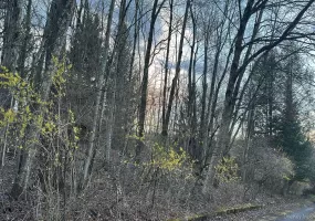 TBD Diane Boulevard, Fallsburg, NY, ,Land,For Rent,Diane,0,985330 TBD Diane Boulevard, Fallsburg, NY, ,Land,For Rent,Diane,0,985330