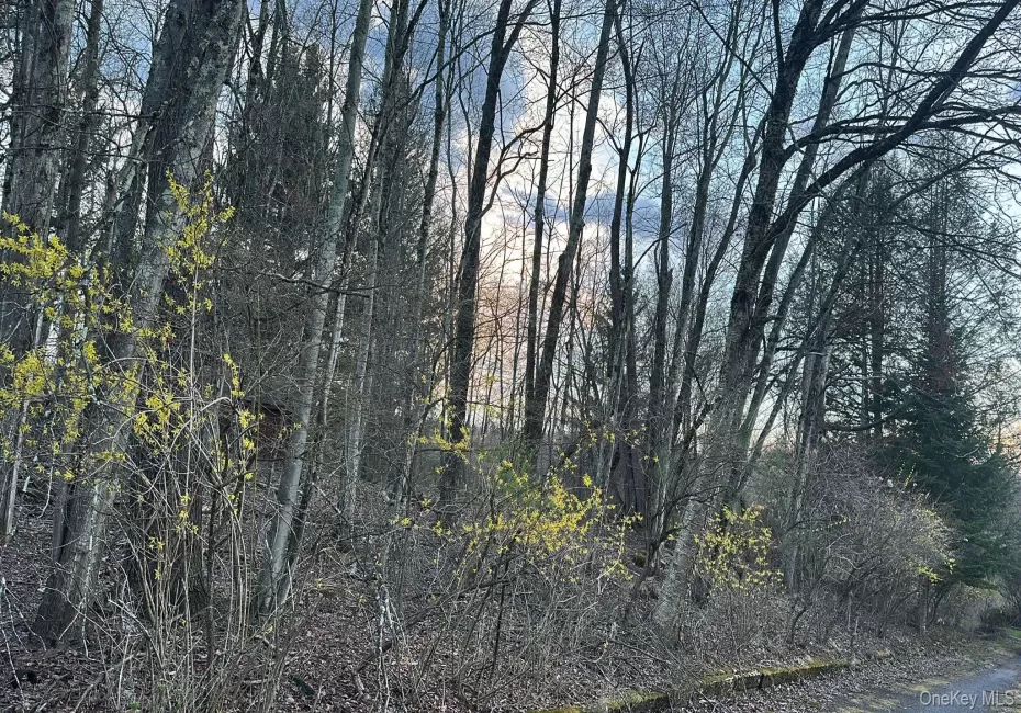 TBD Diane Boulevard, Fallsburg, NY, ,Land,For Rent,Diane,0,985330 TBD Diane Boulevard, Fallsburg, NY, ,Land,For Rent,Diane,0,985330