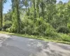 Old Pawling Road, Dover, NY, ,Land,For Rent,Old Pawling,0,1020201 Old Pawling Road, Dover, NY, ,Land,For Rent,Old Pawling,0,1020201