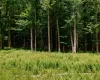 TBD Church Lake Road, Callicoon, NY, ,Land,For Rent,Church Lake,0,1019122 TBD Church Lake Road, Callicoon, NY, ,Land,For Rent,Church Lake,0,1019122
