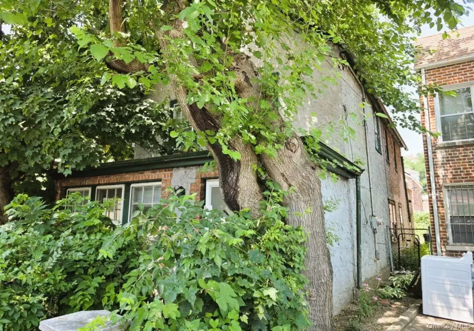 Exterior featuring mature trees, a stucco facade, brick accents, and white-framed windows with dark green trim Exterior featuring mature trees, a stucco facade, brick accents, and white-framed windows with dark green trim