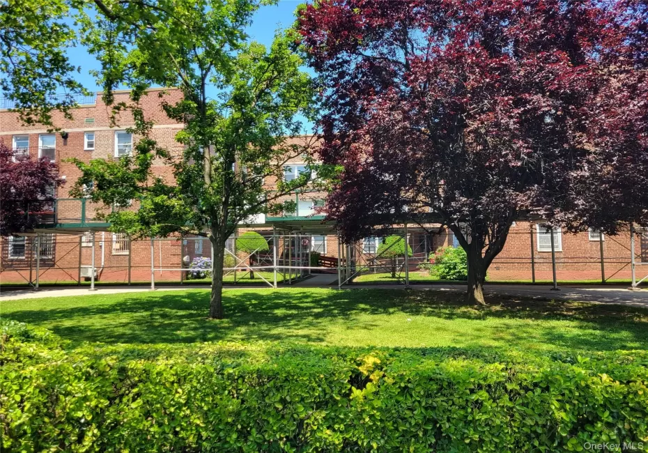 138-29 68th Drive, New York, NY, 1 Bedroom Bedrooms, 3 Rooms Rooms,1 BathroomBathrooms,Residential,For Rent,68th,0,1020251 138-29 68th Drive, New York, NY, 1 Bedroom Bedrooms, 3 Rooms Rooms,1 BathroomBathrooms,Residential,For Rent,68th,0,1020251