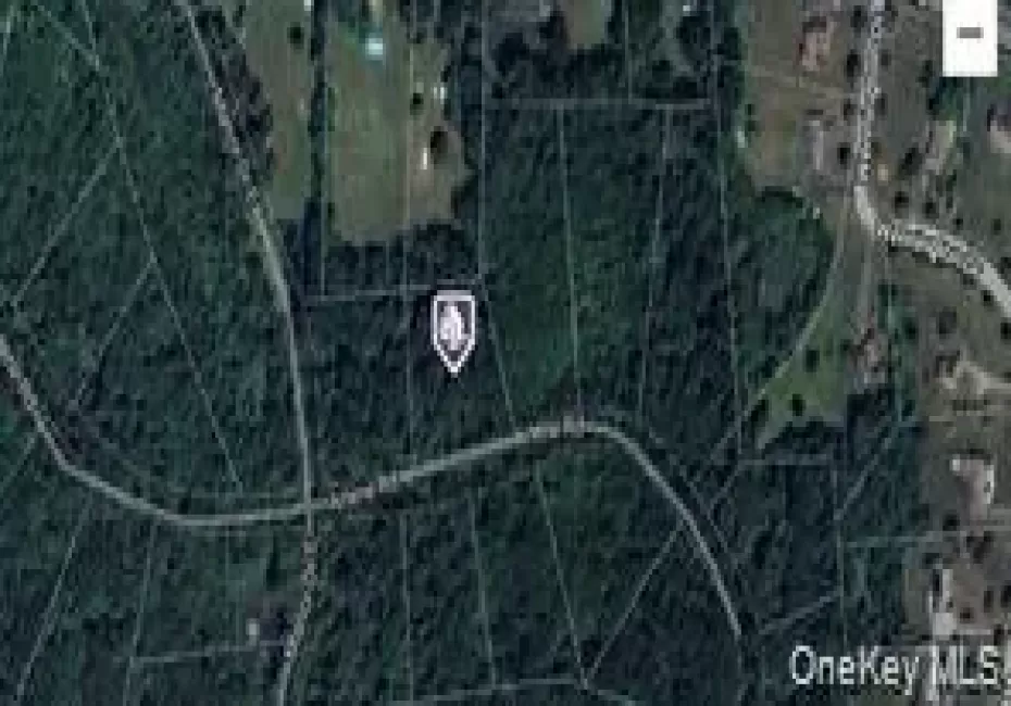 Arlene Road, La Grange, NY, ,Land,For Rent,Arlene,0,986565 Arlene Road, La Grange, NY, ,Land,For Rent,Arlene,0,986565