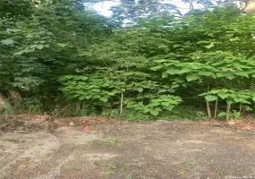 Roosevelt Boulevard, Islip, NY, ,Land,For Rent,Roosevelt Boulevard,0,944737 Roosevelt Boulevard, Islip, NY, ,Land,For Rent,Roosevelt Boulevard,0,944737