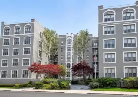 1175 East Broadway, Hempstead, NY, 1 Bedroom Bedrooms, 4 Rooms Rooms,1 BathroomBathrooms,Residential,For Rent,East Broadway,0,1016893 1175 East Broadway, Hempstead, NY, 1 Bedroom Bedrooms, 4 Rooms Rooms,1 BathroomBathrooms,Residential,For Rent,East Broadway,0,1016893