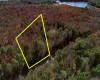 Lot 2 Deer Meadow Road, Bethel, NY, ,Land,For Rent,Deer Meadow,0,984392 Lot 2 Deer Meadow Road, Bethel, NY, ,Land,For Rent,Deer Meadow,0,984392