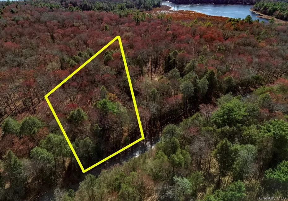 Lot 2 Deer Meadow Road, Bethel, NY, ,Land,For Rent,Deer Meadow,0,984392 Lot 2 Deer Meadow Road, Bethel, NY, ,Land,For Rent,Deer Meadow,0,984392
