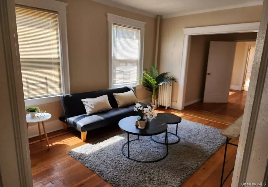 Living room with wood-type flooring and radiator heating unit Living room with wood-type flooring and radiator heating unit