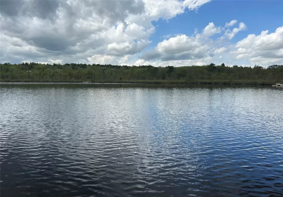 Water view with a heavily wooded area Water view with a heavily wooded area