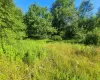 55 State Street, Liberty, NY, ,Land,For Rent,State,0,1023244 55 State Street, Liberty, NY, ,Land,For Rent,State,0,1023244