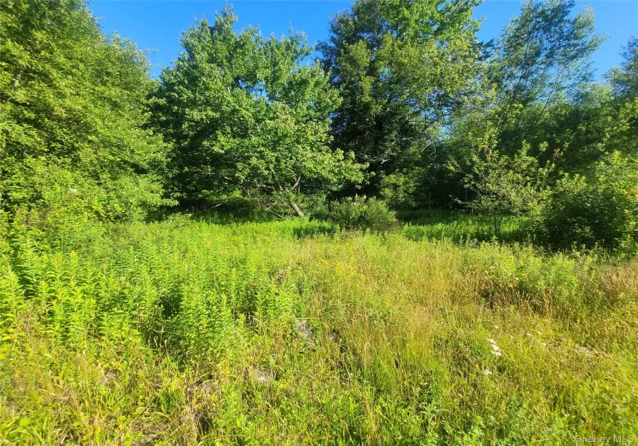55 State Street, Liberty, NY, ,Land,For Rent,State,0,1023244 55 State Street, Liberty, NY, ,Land,For Rent,State,0,1023244