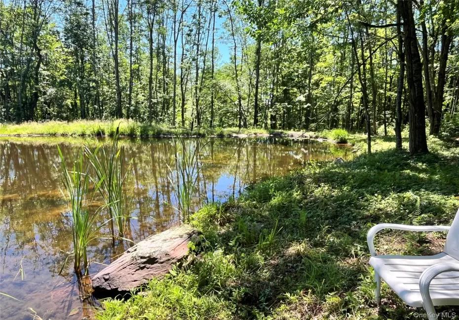 Upper Pond Dahlia Road, Liberty, NY, ,Land,For Rent,Dahlia,0,1024035 Upper Pond Dahlia Road, Liberty, NY, ,Land,For Rent,Dahlia,0,1024035